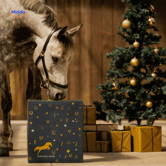 Advent Calendar Horse-Themed 24 Surprises for Christmas