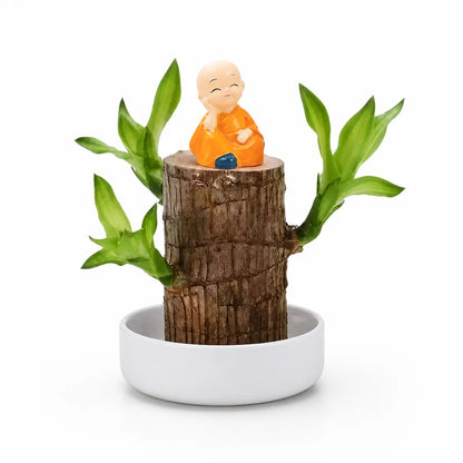 Desk Plant Air-Purifying Low-Light Wooden Planter