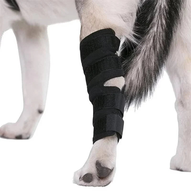 Dog Ankle Brace Neoprene Compression Reflective Strips