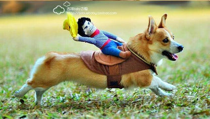 Dog Costume Riding Horse Design Brown Sizes S–XL