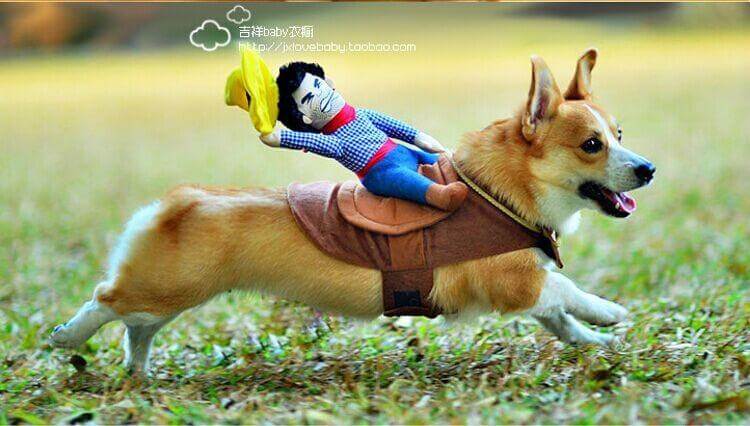 Dog Costume Riding Horse Design Brown Sizes S–XL