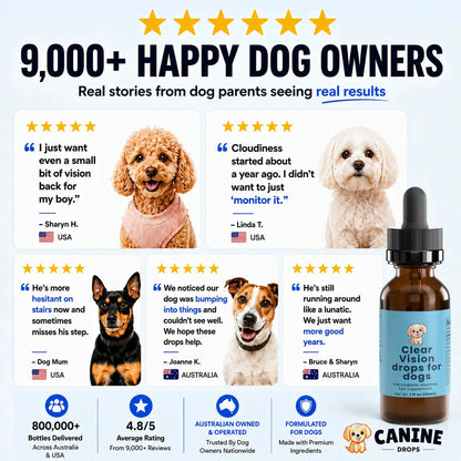 Dog Eye Support Drops Food-Additive Daily Use