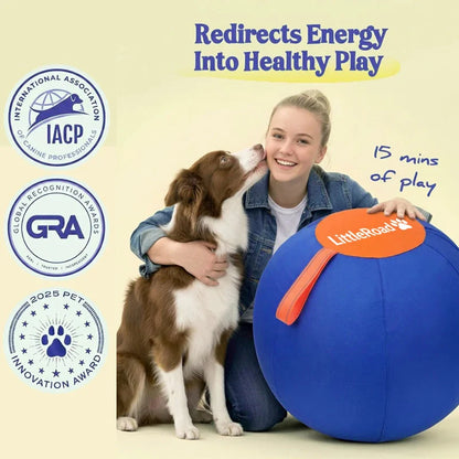 Dog Herding Ball Puncture-Resistant Cover Pump Included
