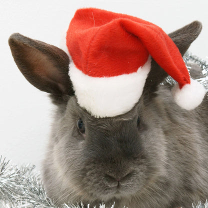 Dog Santa Hat Soft Plush Adjustable Fit