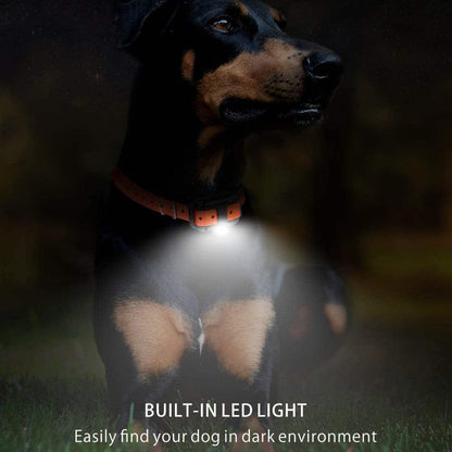 Dog Training Collar Remote Control 875-Yard Range Rechargeable Waterproof