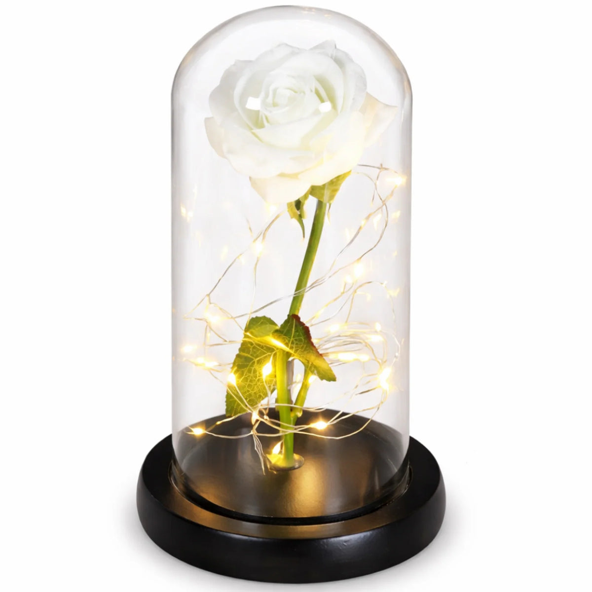 Eternal Rose Under Glass Dome Preserved LED Lighting