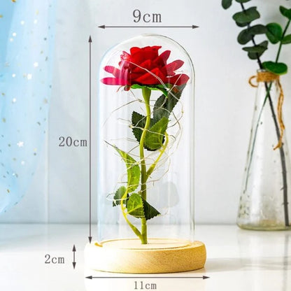 Eternal Rose Under Glass Dome Preserved LED Lighting