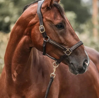 Horse Advent Calendar 24-Day Countdown With Grooming Accessories