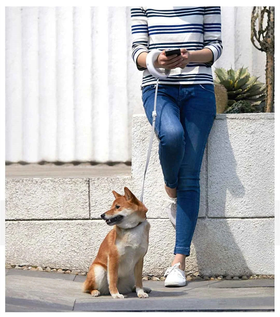 Pet Leash Retractable LED Rechargeable Hands-Free Ring Grip