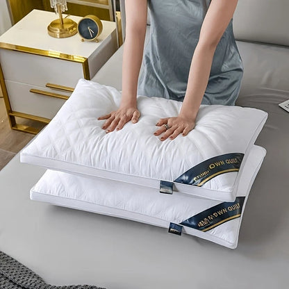 Pillow Set Two Hypoallergenic 3D Microfiber Machine Washable