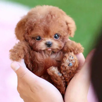 Plush Puppy Toy Interactive Movement & Sounds