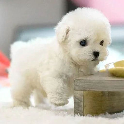 Plush Puppy Toy Interactive Movement & Sounds