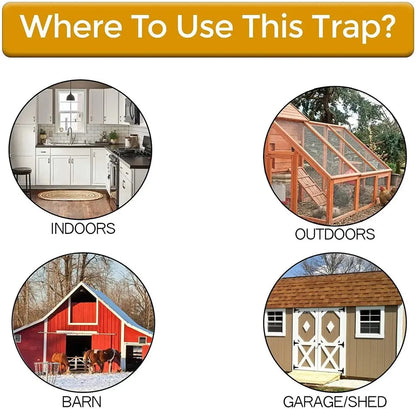 Rodent Trap Enclosed Catch Counterweighted Plank