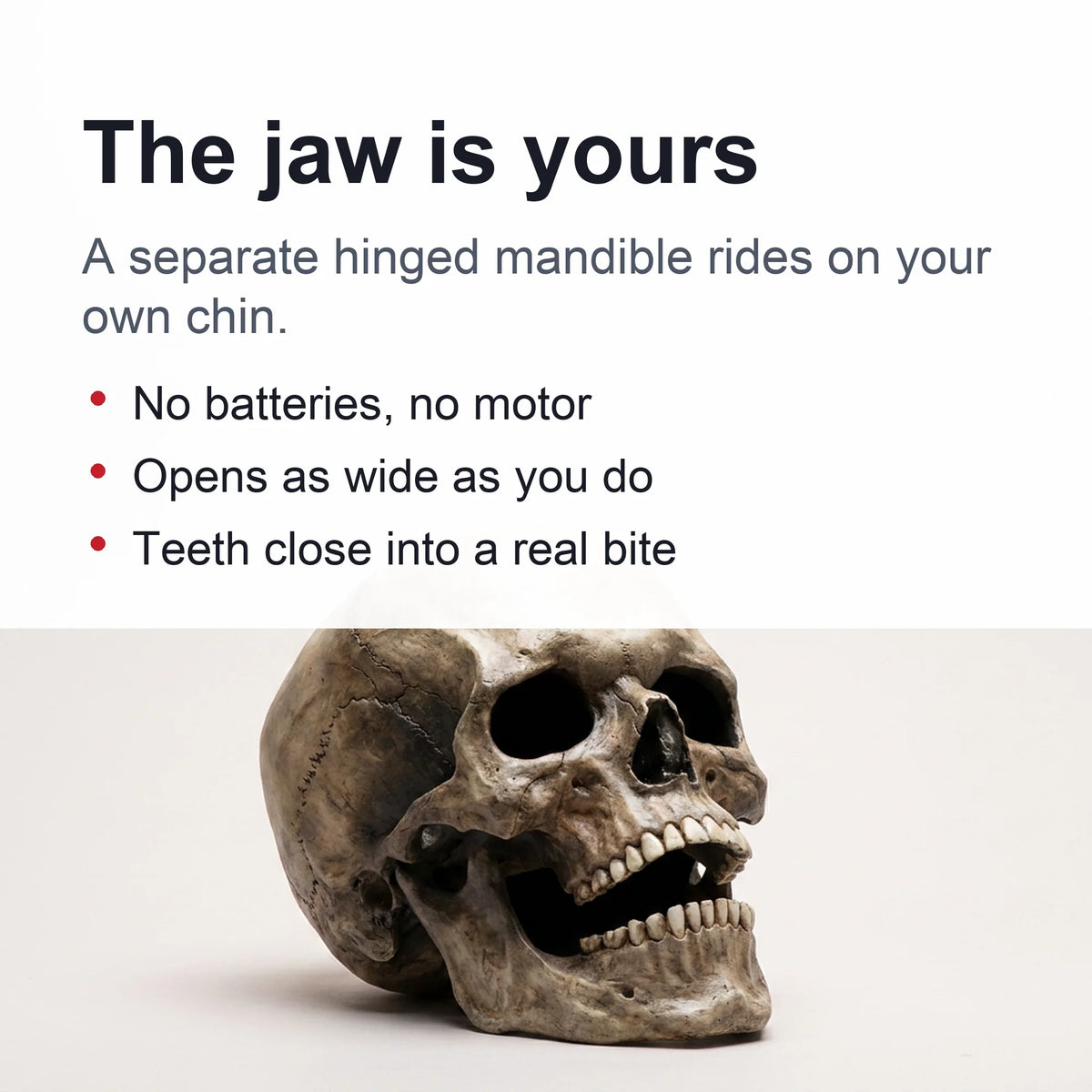 Skull Mask Full-Head Coverage Movable Jaw Soft Latex