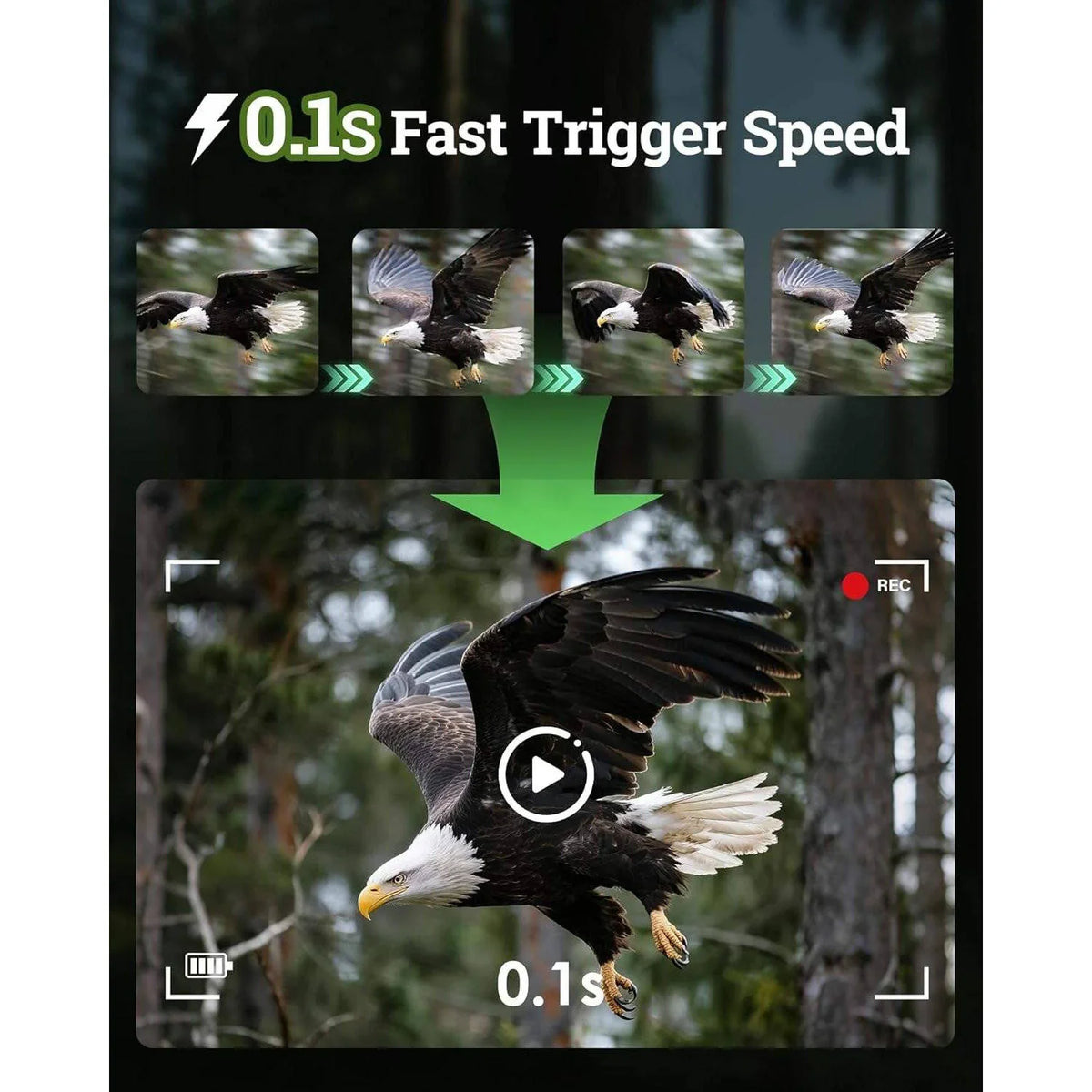 Trail Camera 4K Solar Charging Night Vision