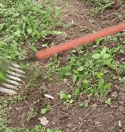 Weeding Rake Carbon Steel 4 To 7 Tine Options